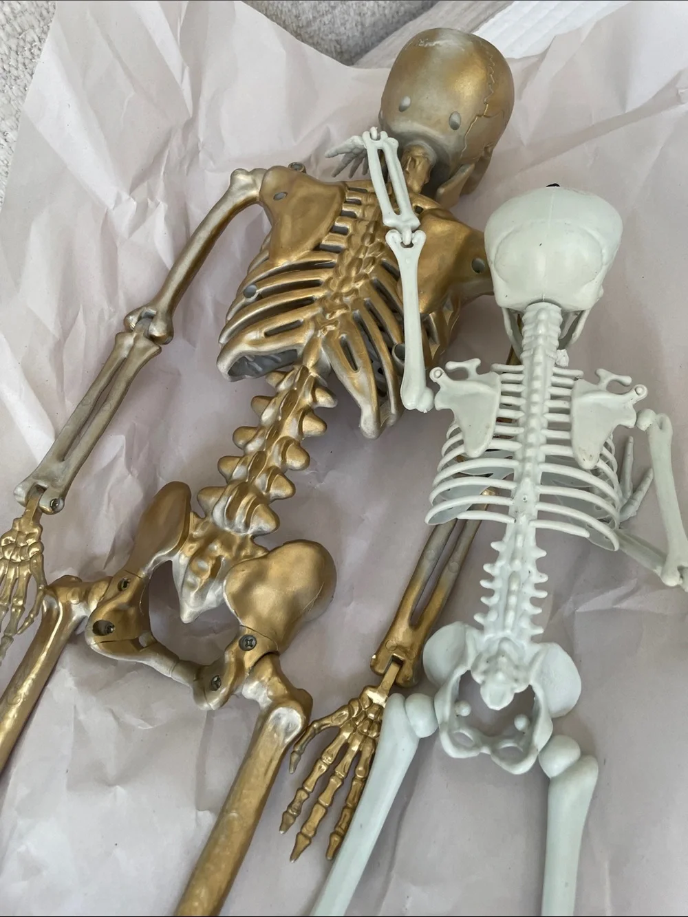 Set of Decorative Skeletons - Gold and White